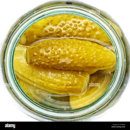 C16-Manypickles